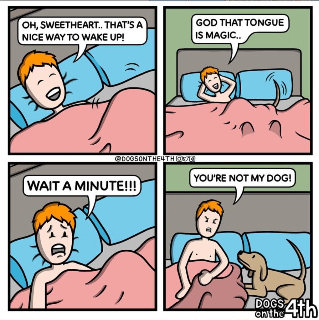 Screenshot_464-1019x1024 10+ Dark Comics About Bizarre and Random Situations