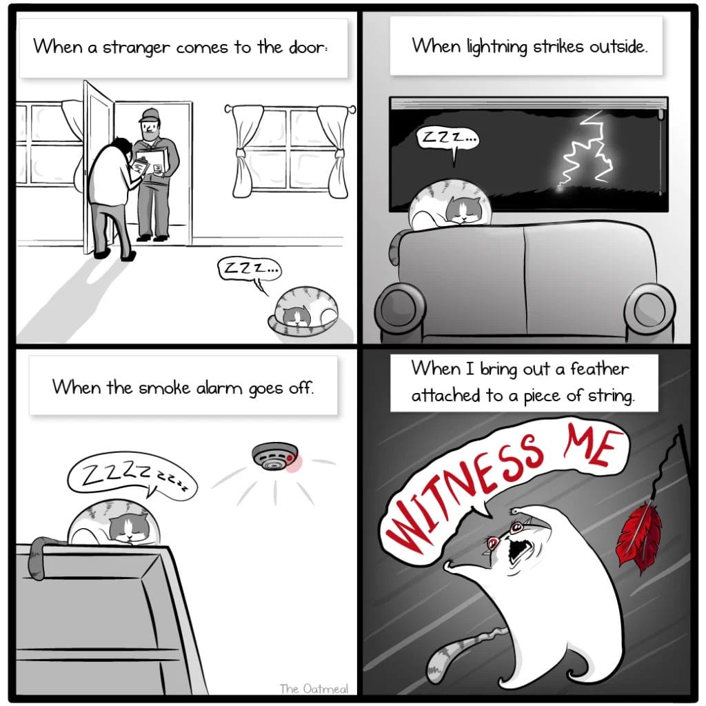 15 20 Oatmeal Comics Based on Humorous Observations That Will Amuse You