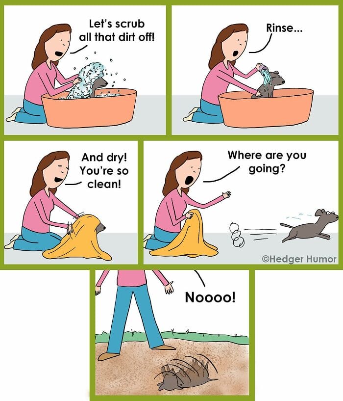 12-4 Hedger Humor Creates 20 Cartoons That Depict Life's Ridiculous Moments