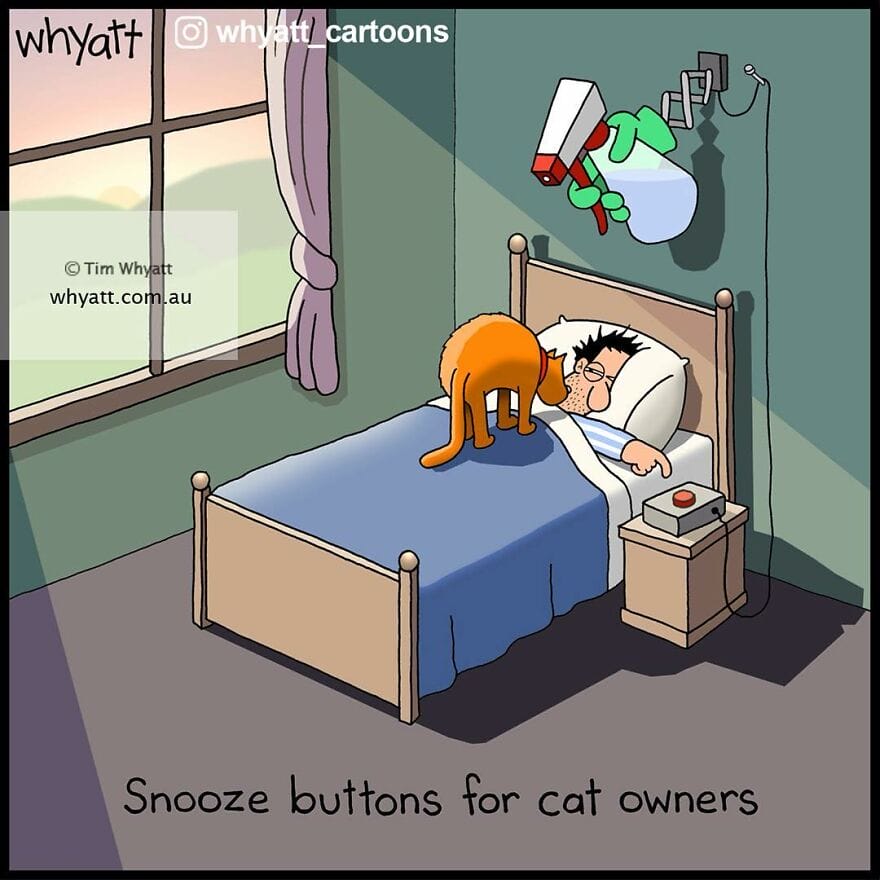 3-8 15 Single-Panel Whyatt Cartoons Will Make You Laugh