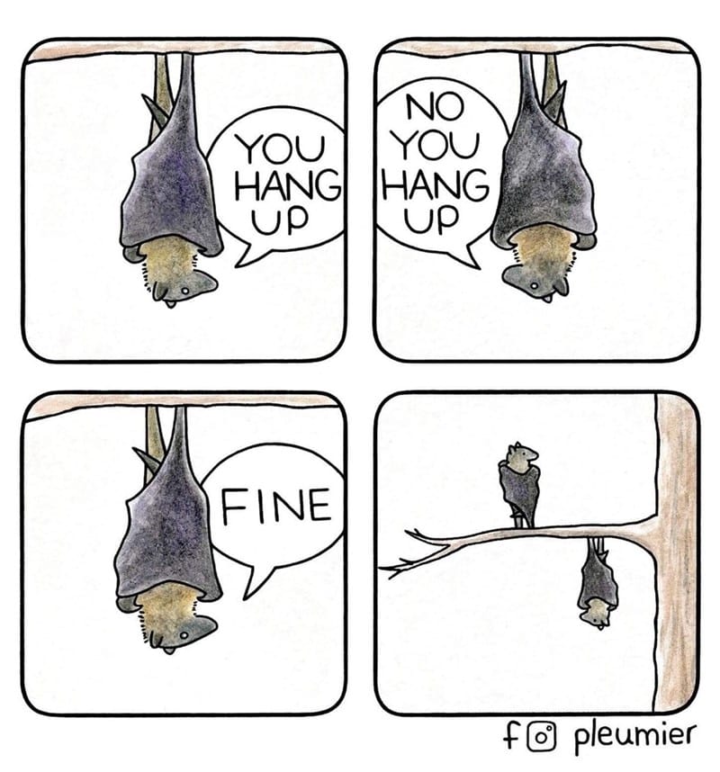 10-4 20 Animal Pleumier Comics: by a Montreal-Based Biologist That Will Make Your Mood