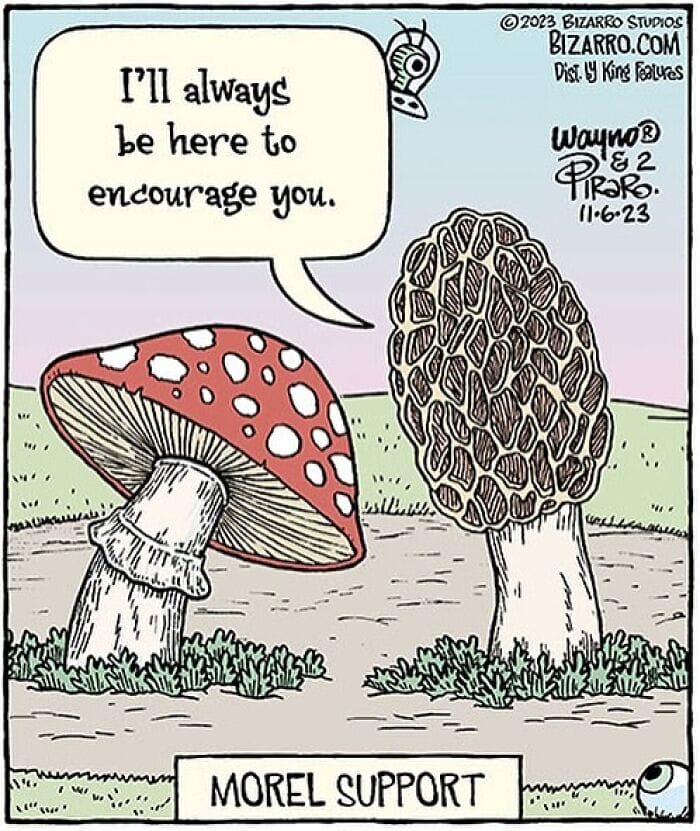 10-5 15+ Bizarro Comics Feature Surreal humor That Depicts Situations