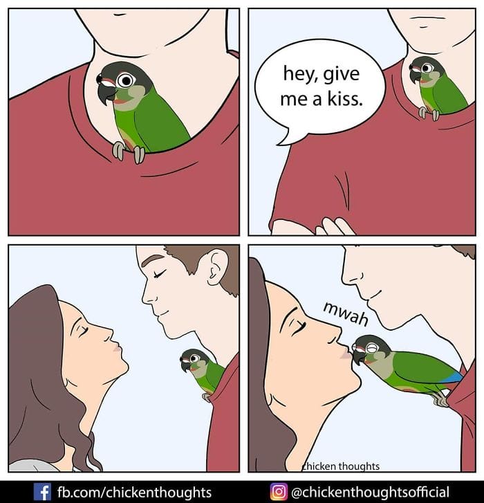 10-51 15+ Times Chicken Thoughts Makes Hilarious Comics About Birds That will Surely Make Your Day
