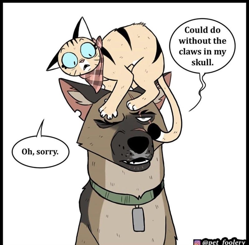 10-7 20 Hilarious Pet Foolery Drawings That Capture the Funny and Quirky Side of Pets