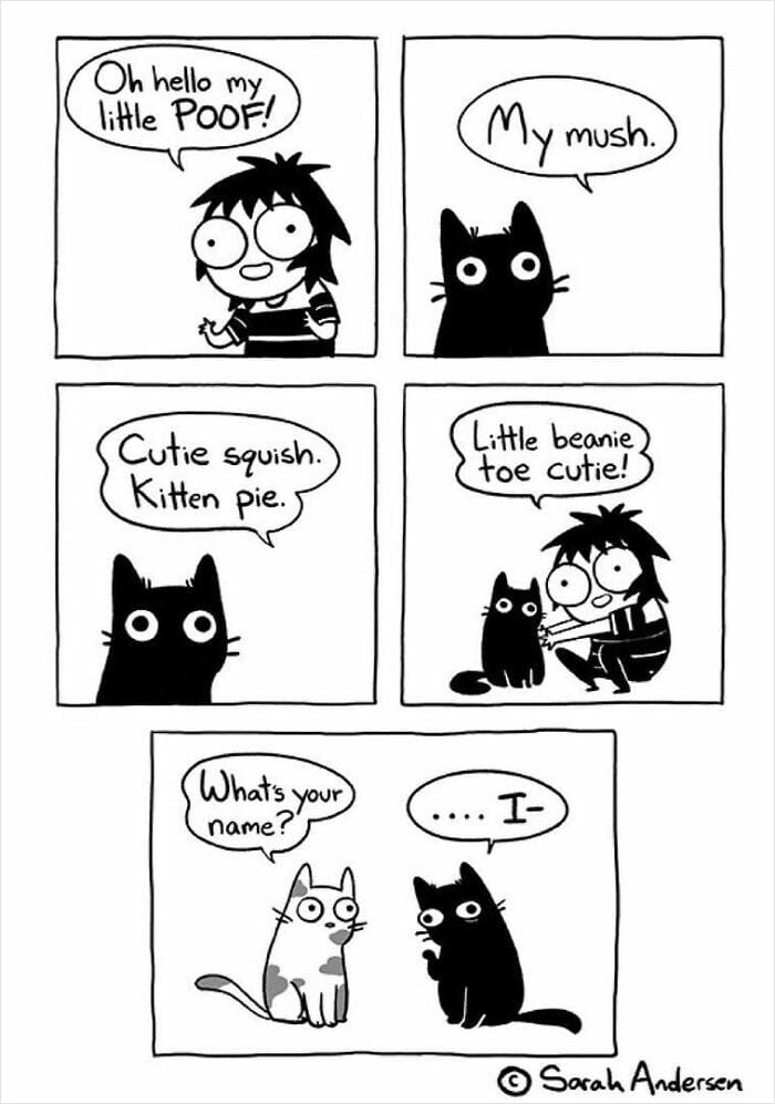 10-97 20 Hilarious Comics By Sarah Andersen That Perfectly Capture The Quirky Differences Between Cats And Dogs