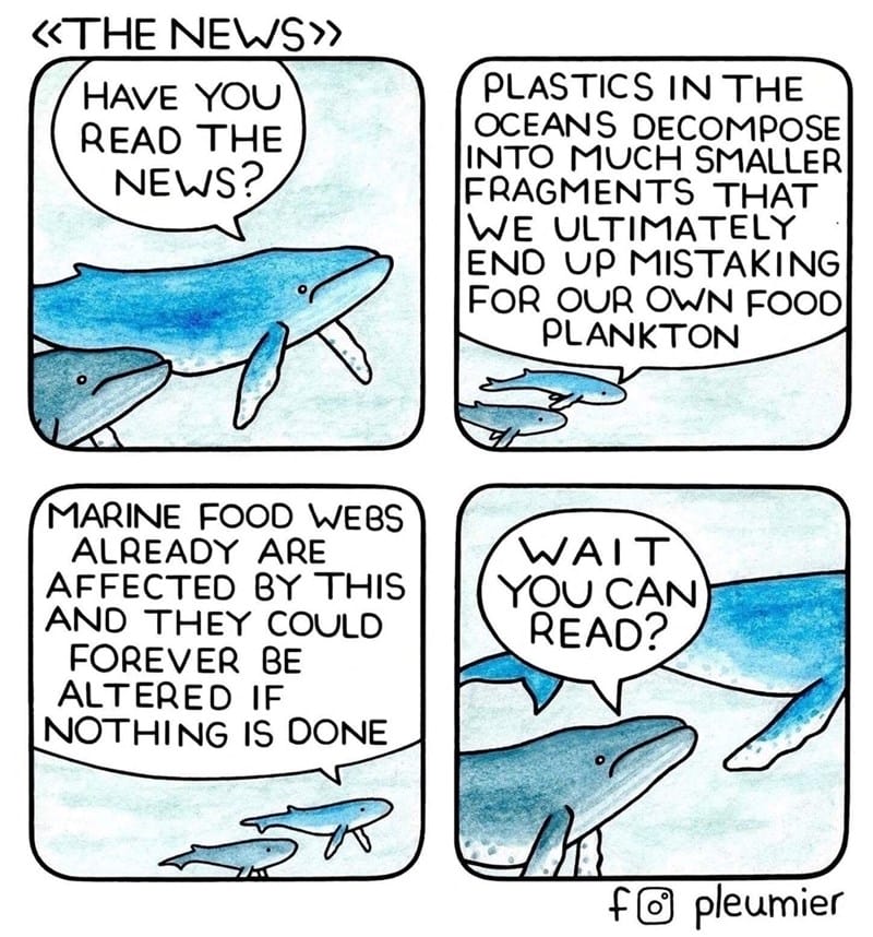 11-4 20 Animal Pleumier Comics: by a Montreal-Based Biologist That Will Make Your Mood