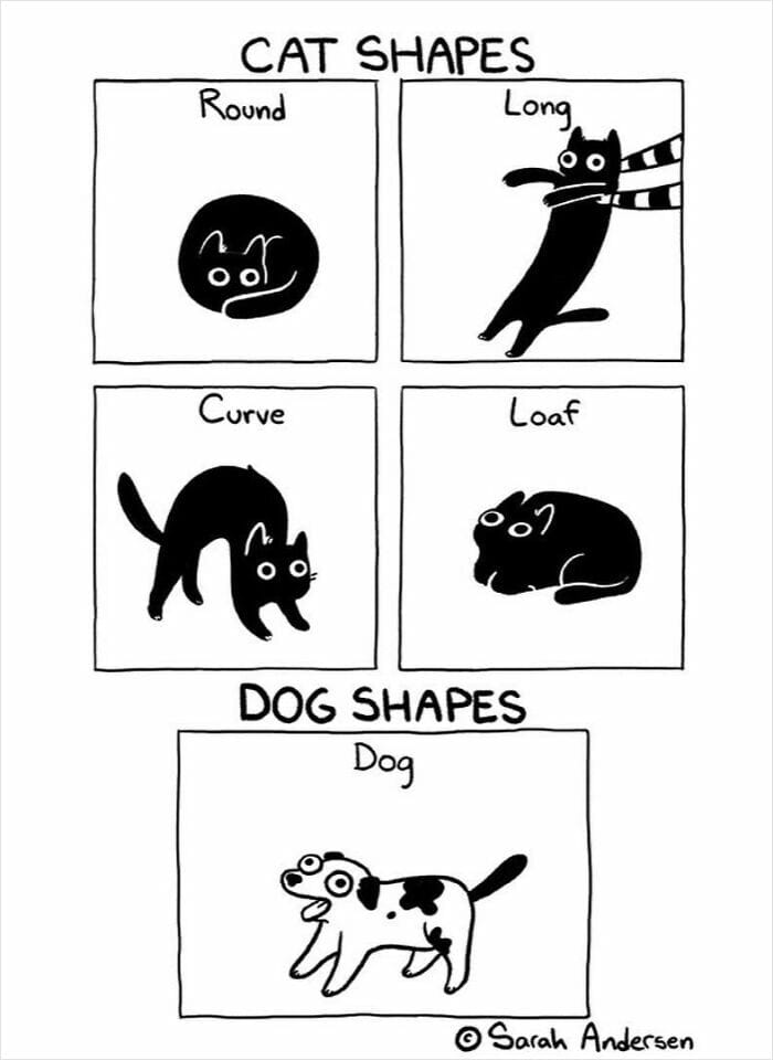 11-97 20 Hilarious Comics By Sarah Andersen That Perfectly Capture The Quirky Differences Between Cats And Dogs