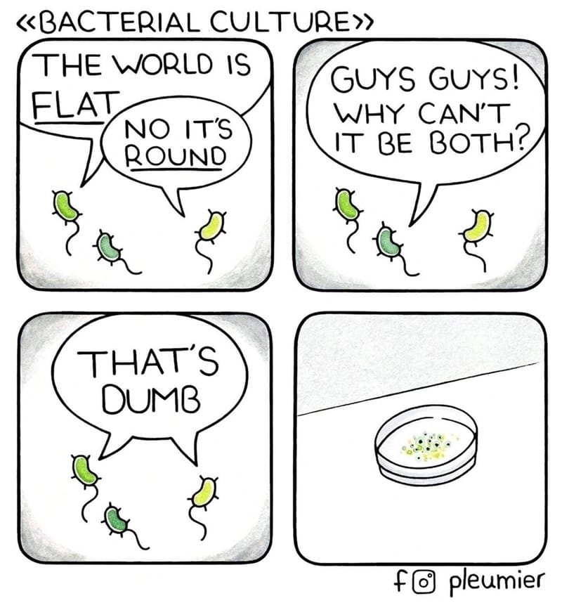 12-4 20 Animal Pleumier Comics: by a Montreal-Based Biologist That Will Make Your Mood