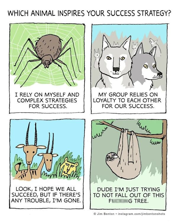 13-20 artist Jim Benton Makes 18+ Comics Full of Humorous Twists