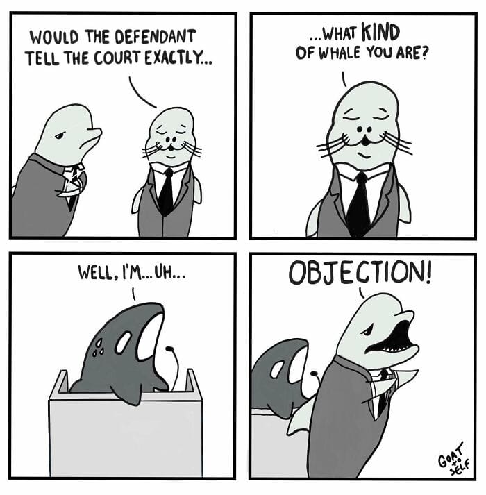 13-25 16+ Goat to Self comics Full of Unexpected Punchlines