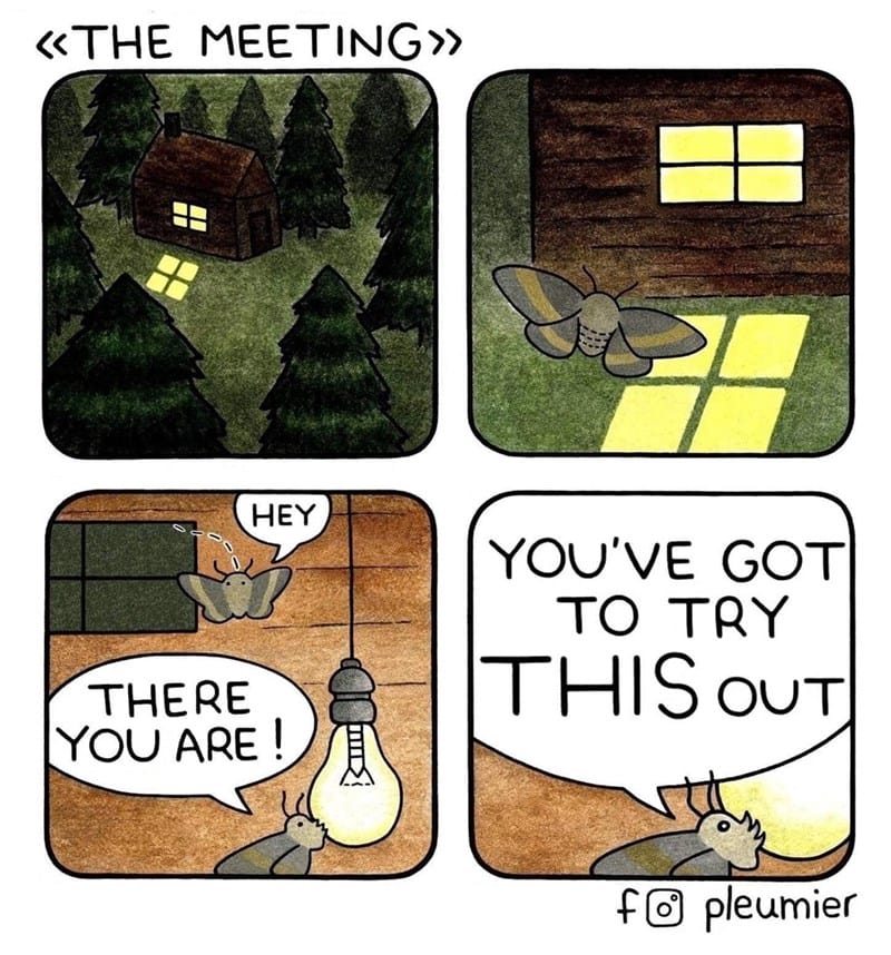 13-4 20 Animal Pleumier Comics: by a Montreal-Based Biologist That Will Make Your Mood
