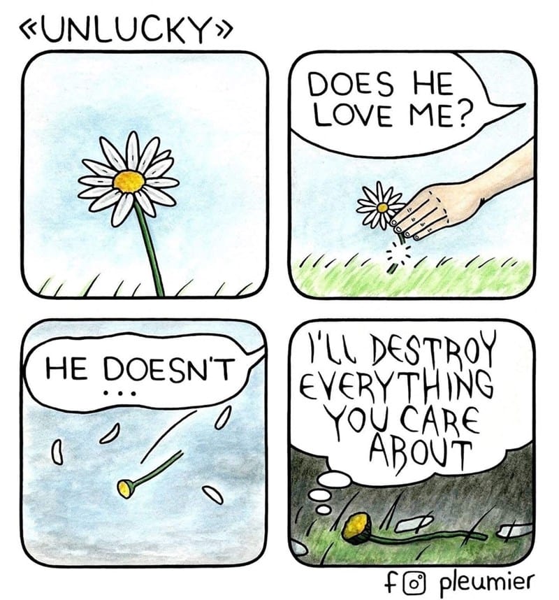 14-4 20 Animal Pleumier Comics: by a Montreal-Based Biologist That Will Make Your Mood