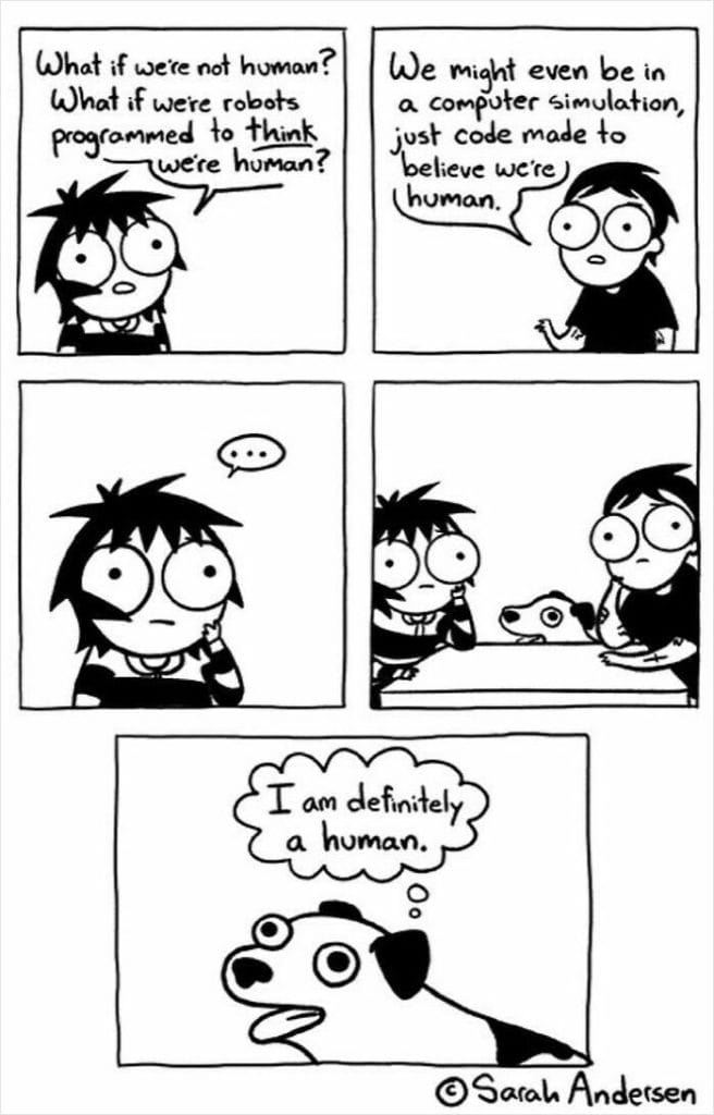 14-96-656x1024 20 Hilarious Comics By Sarah Andersen That Perfectly Capture The Quirky Differences Between Cats And Dogs