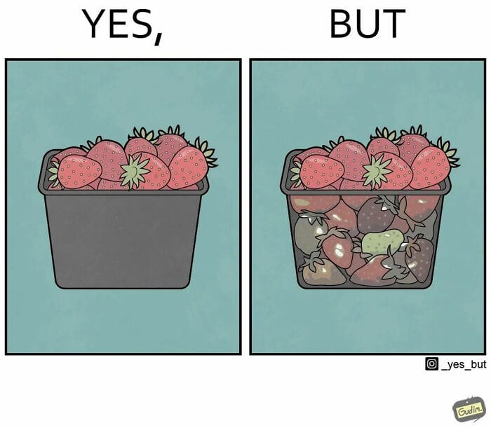 14 20 Two-Panel Illustrations That Depict Contradictory Situations in Society