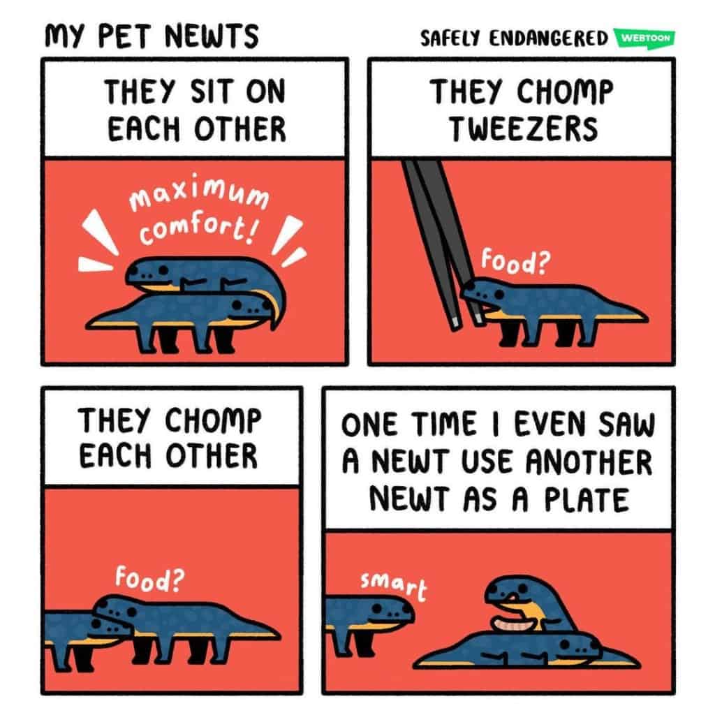 15-21 16+ Safely Endangered Comics Full of Ironic Twists by a Cartoonist Who Has 1.6 Million Followers