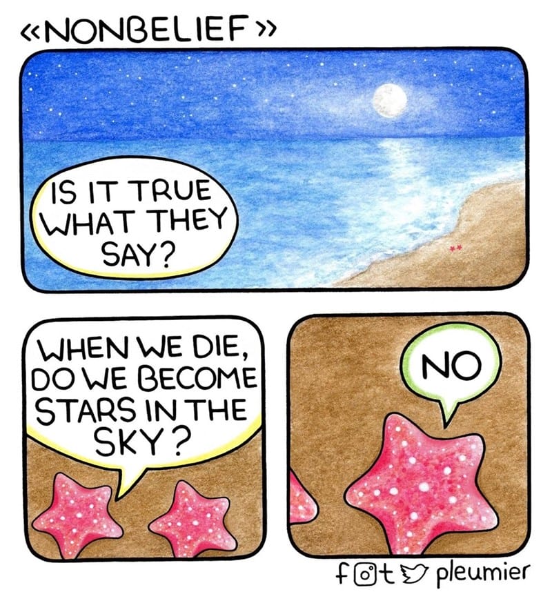 15-4 20 Animal Pleumier Comics: by a Montreal-Based Biologist That Will Make Your Mood