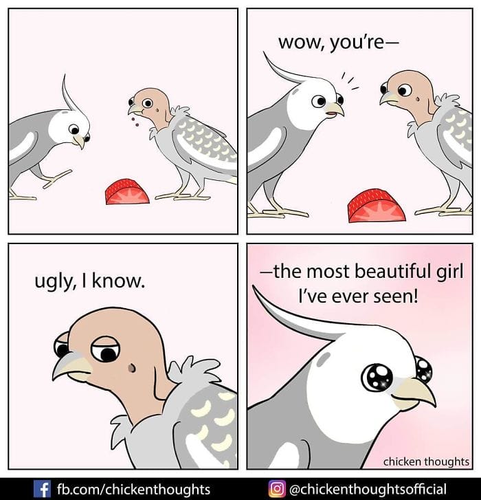 15-50 15+ Times Chicken Thoughts Makes Hilarious Comics About Birds That will Surely Make Your Day