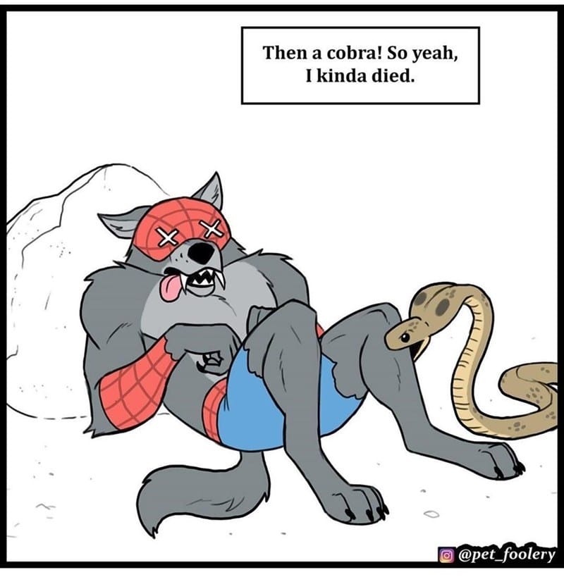 15-8 20 Hilarious Pet Foolery Drawings That Capture the Funny and Quirky Side of Pets