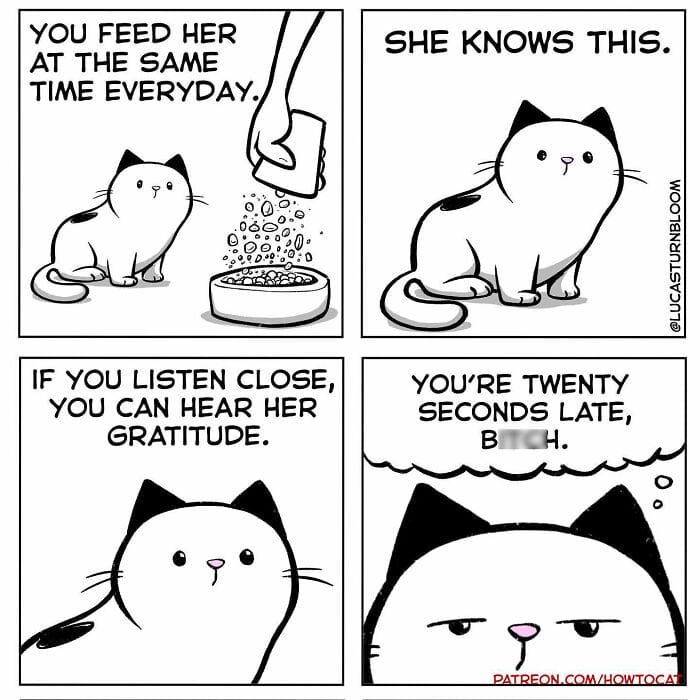 15-90 20 New Comics by Lucas Turnbloom That Hilariously Capture Relatable Cat Behaviors