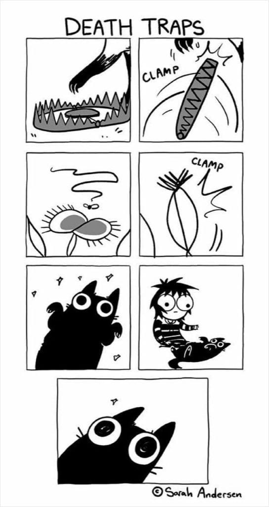 15-95-544x1024 20 Hilarious Comics By Sarah Andersen That Perfectly Capture The Quirky Differences Between Cats And Dogs