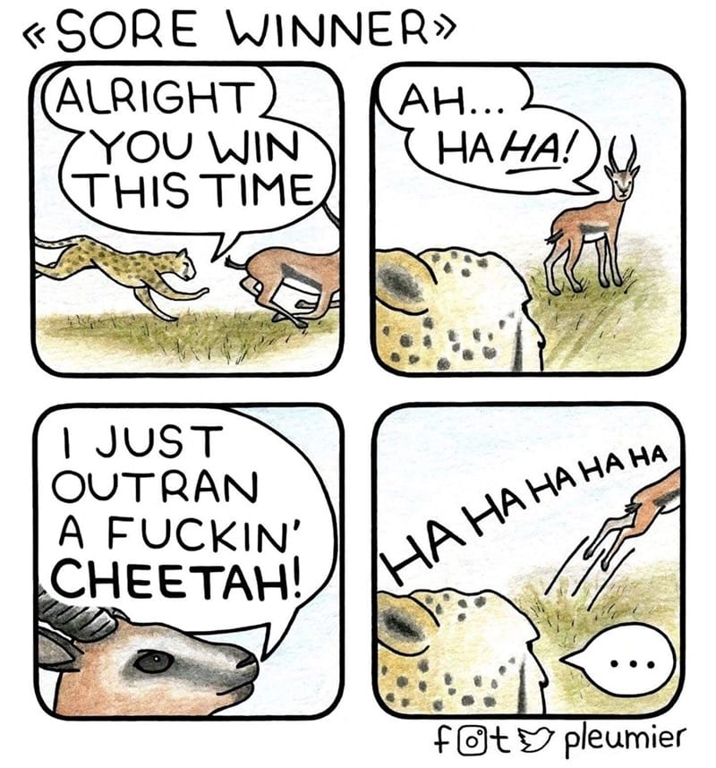 16-4 20 Animal Pleumier Comics: by a Montreal-Based Biologist That Will Make Your Mood