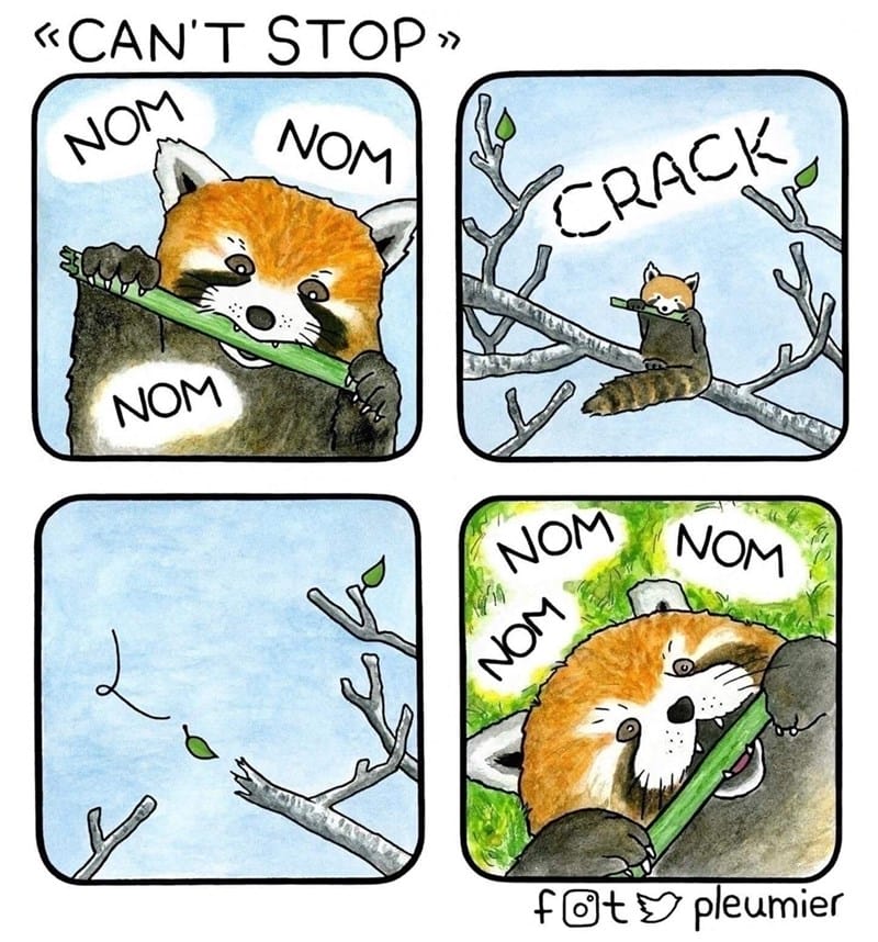 17-4 20 Animal Pleumier Comics: by a Montreal-Based Biologist That Will Make Your Mood