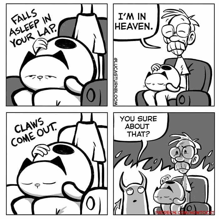 17-84 20 New Comics by Lucas Turnbloom That Hilariously Capture Relatable Cat Behaviors
