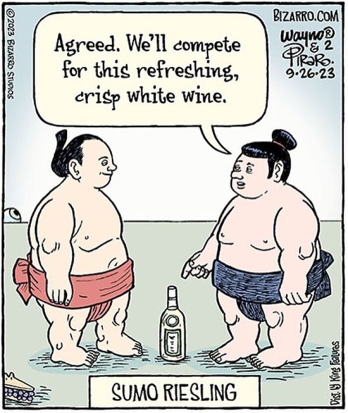 18-4 15+ Bizarro Comics Feature Surreal humor That Depicts Situations