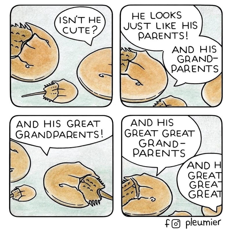 2-5 20 Animal Pleumier Comics: by a Montreal-Based Biologist That Will Make Your Mood