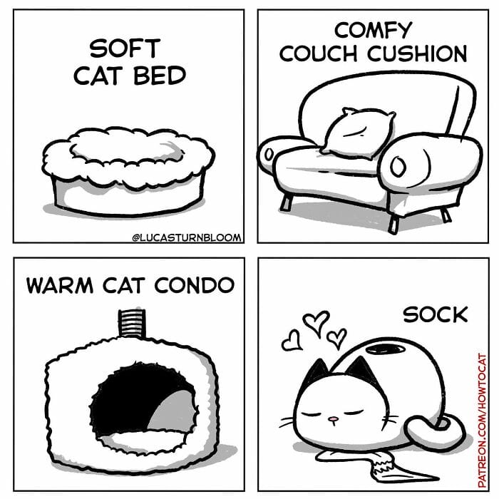 2-91 20 New Comics by Lucas Turnbloom That Hilariously Capture Relatable Cat Behaviors