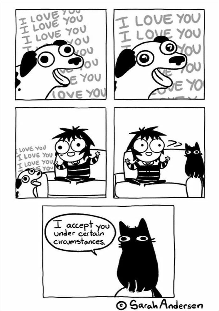 2-96 20 Hilarious Comics By Sarah Andersen That Perfectly Capture The Quirky Differences Between Cats And Dogs
