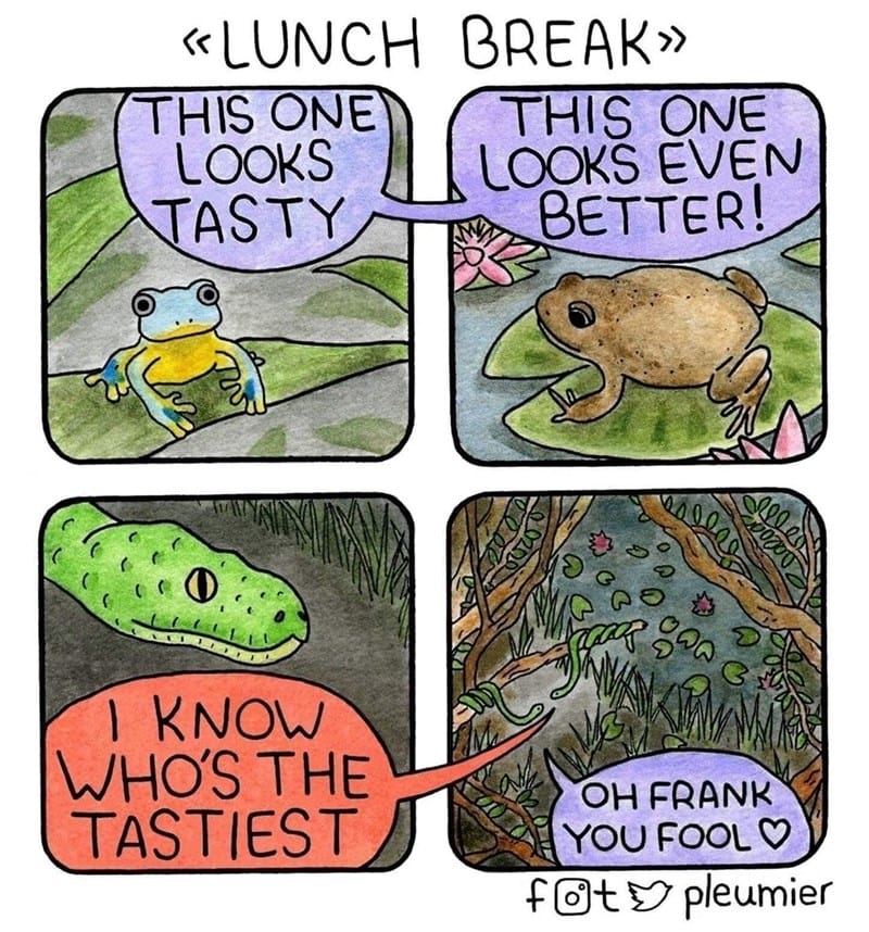 20-4 20 Animal Pleumier Comics: by a Montreal-Based Biologist That Will Make Your Mood