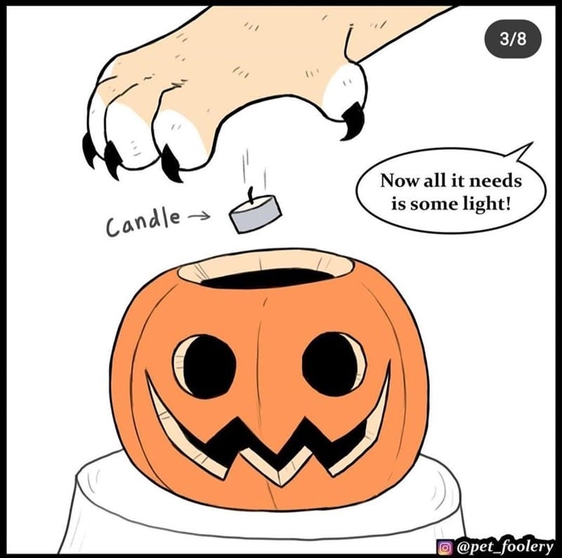 20-7 20 Hilarious Pet Foolery Drawings That Capture the Funny and Quirky Side of Pets