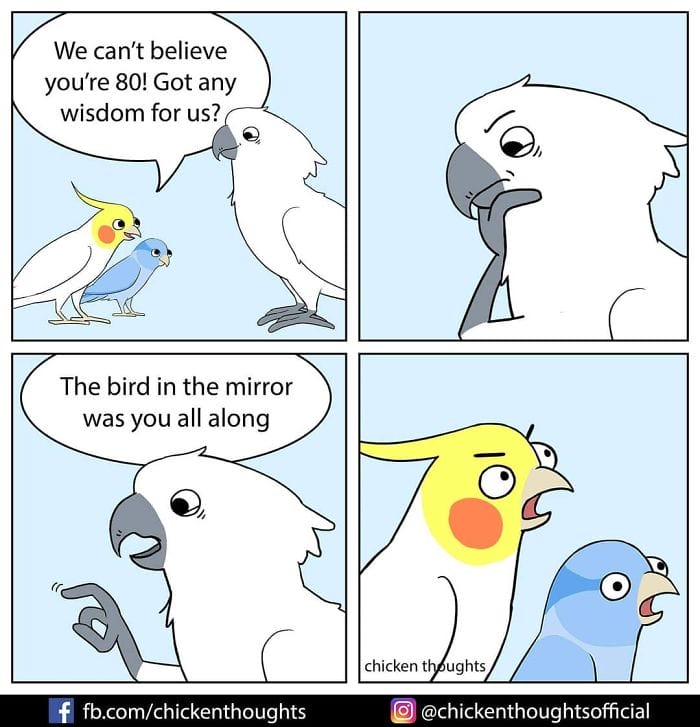 3-48 15+ Times Chicken Thoughts Makes Hilarious Comics About Birds That will Surely Make Your Day