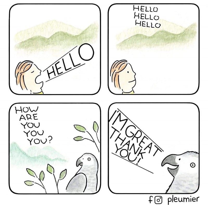 3-5 20 Animal Pleumier Comics: by a Montreal-Based Biologist That Will Make Your Mood