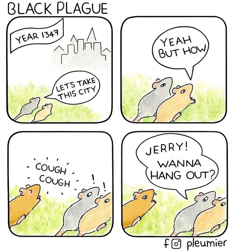 6-4 20 Animal Pleumier Comics: by a Montreal-Based Biologist That Will Make Your Mood
