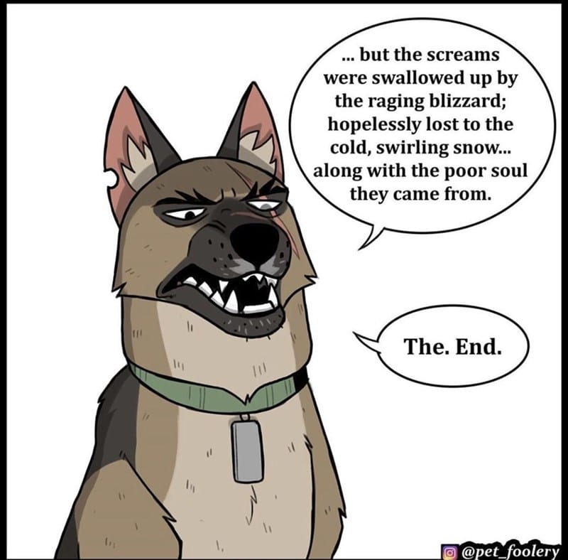 6-7 20 Hilarious Pet Foolery Drawings That Capture the Funny and Quirky Side of Pets