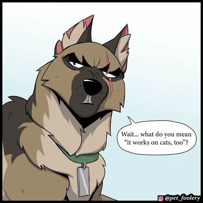 63 5 Best Pixie And Brutus Comics Never Fails to Amuse Fans With Heartwarming Stories