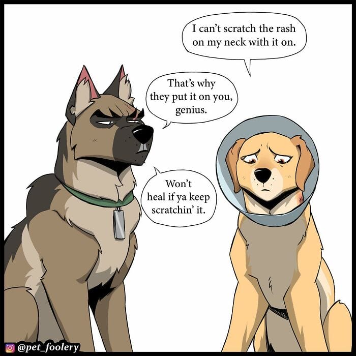 68 5 Best Pixie And Brutus Comics Never Fails to Amuse Fans With Heartwarming Stories