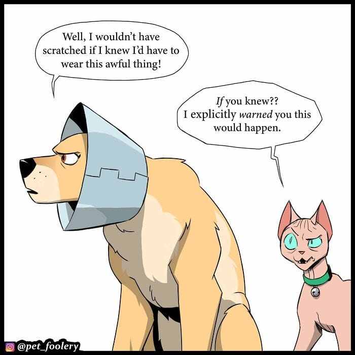 69 5 Best Pixie And Brutus Comics Never Fails to Amuse Fans With Heartwarming Stories