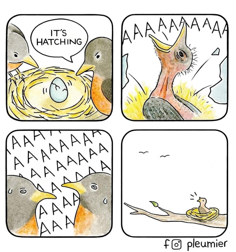 7-4 20 Animal Pleumier Comics: by a Montreal-Based Biologist That Will Make Your Mood