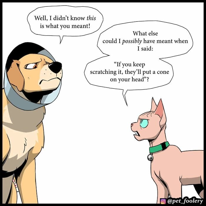 70 5 Best Pixie And Brutus Comics Never Fails to Amuse Fans With Heartwarming Stories
