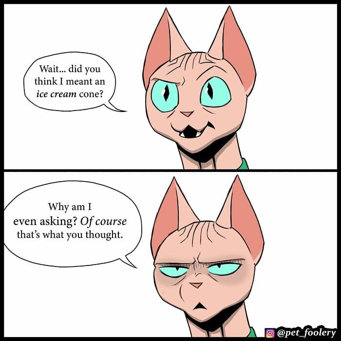 71 5 Best Pixie And Brutus Comics Never Fails to Amuse Fans With Heartwarming Stories