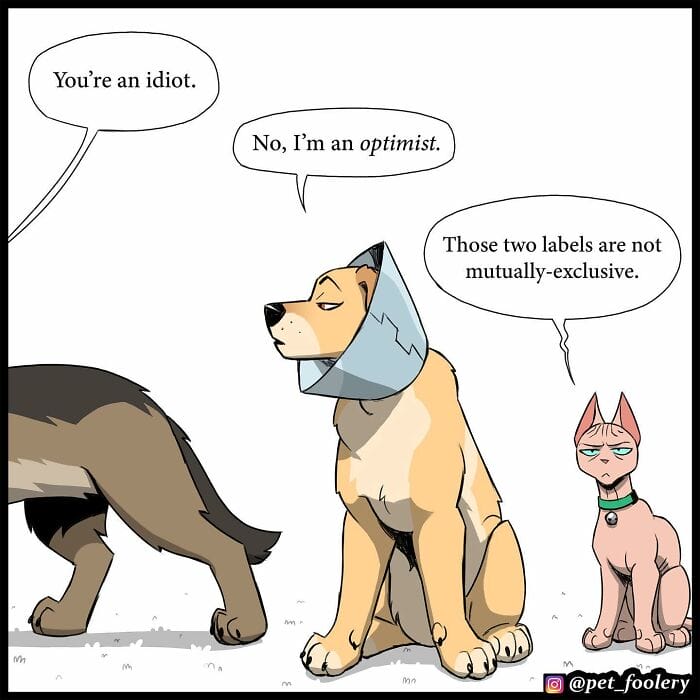 73 5 Best Pixie And Brutus Comics Never Fails to Amuse Fans With Heartwarming Stories