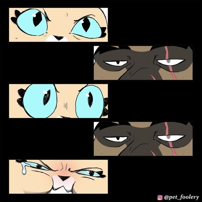79 5 Best Pixie And Brutus Comics Never Fails to Amuse Fans With Heartwarming Stories
