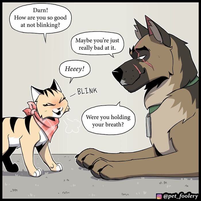 80 5 Best Pixie And Brutus Comics Never Fails to Amuse Fans With Heartwarming Stories