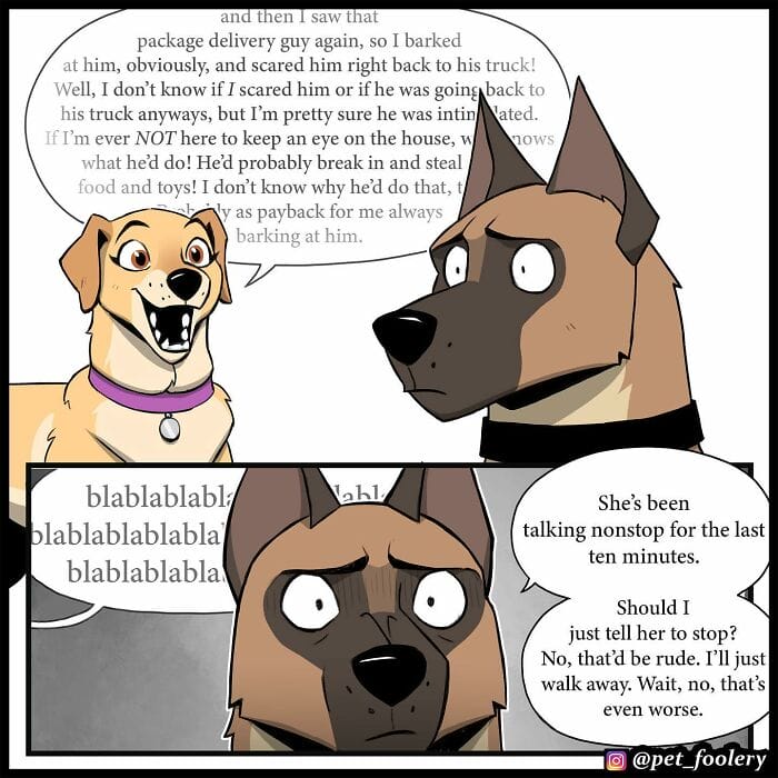 81 5 Best Pixie And Brutus Comics Never Fails to Amuse Fans With Heartwarming Stories