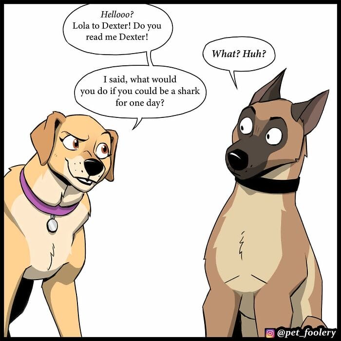 82 5 Best Pixie And Brutus Comics Never Fails to Amuse Fans With Heartwarming Stories