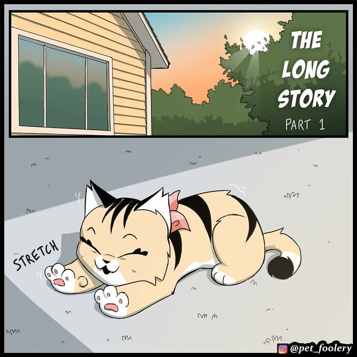 87 5 Best Pixie And Brutus Comics Never Fails to Amuse Fans With Heartwarming Stories