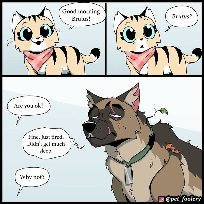 88 5 Best Pixie And Brutus Comics Never Fails to Amuse Fans With Heartwarming Stories